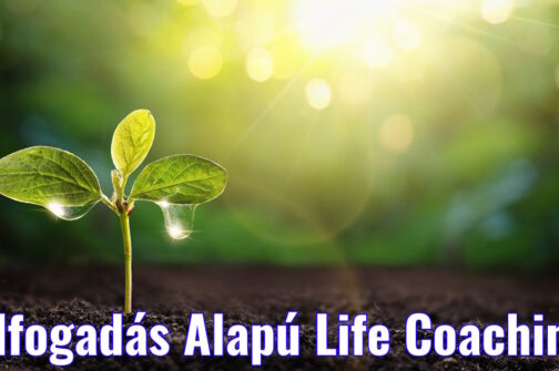 New Life Young Plant in Sunlight, Growing Plant, Plant Seedling. Spring Garden Concept